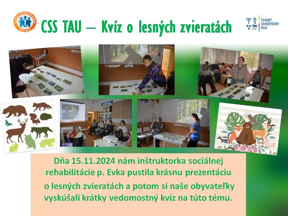 css tau kv z o lesn ch zvierat ch.jpg